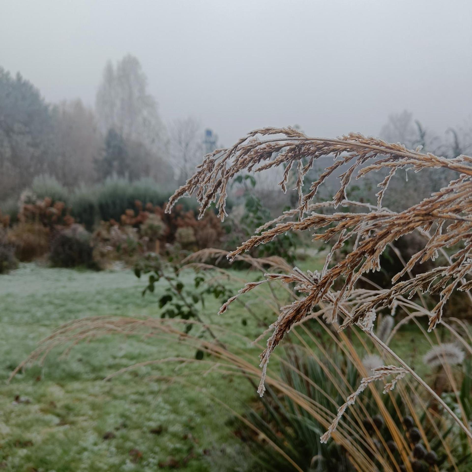 Farcik Pokoje Goscinne Nowa Wies  Esterno foto